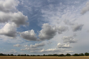 A large field with trees and blue sky and clouds