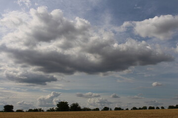 A large field with clouds