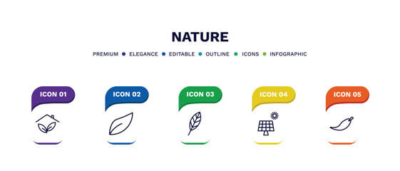 set of nature thin line icons. nature outline icons with infographic template. linear icons such as indoor, orange leaf, lanceolate, solar, falcate vector.