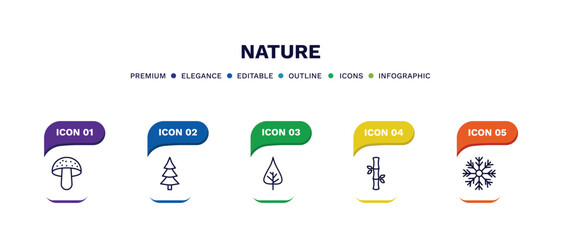 set of nature thin line icons. nature outline icons with infographic template. linear icons such as amanita, spruce, poplar leaf, bamboo sticks, big snowflake vector.