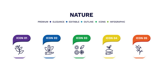 set of nature thin line icons. nature outline icons with infographic template. linear icons such as willow leaf, treatments, season, seeding, cypress leaf vector. © Abstract