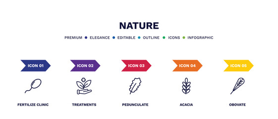 set of nature thin line icons. nature outline icons with infographic template. linear icons such as fertilize clinic, treatments, pedunculate, acacia, obovate vector.