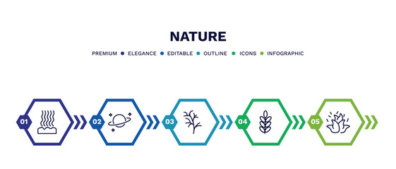 set of nature thin line icons. nature outline icons with infographic template. linear icons such as fasciculate, planet with satellite, cypress leaf, acacia, burning flames vector.
