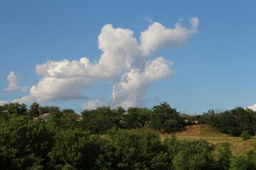 Obraz premium A group of trees and a blue sky with clouds