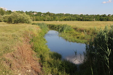 A river with a grass field and trees in the background