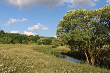 A river with trees and grass