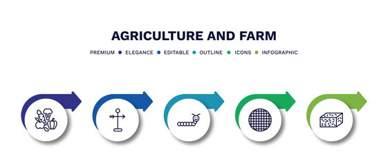 set of agriculture and farm thin line icons. agriculture and farm outline icons with infographic template. linear icons such as vegetables, weather vane, caterpillar, riddle tool, straw bale vector.