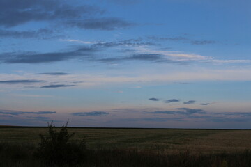A field with grass and trees