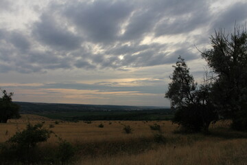 Fototapeta premium A landscape with trees and a cloudy sky