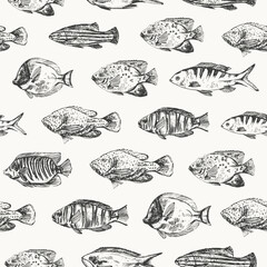 Coral fish seamless pattern with hand drawn fish types
