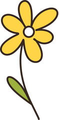Yellow flowers	
