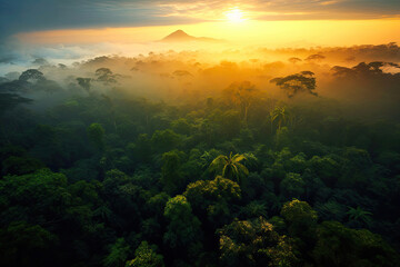 Fototapeta na wymiar Exploring the Amazon Forest's Intricate Biodiversity. Generative AI