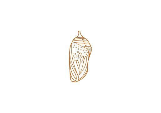 Logo detailed line chrysalis and branch. Old vintage style logo. editable color. 