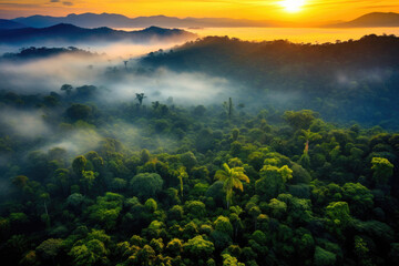 Exploring the Amazon's Vast Canopy at Sunset. Generative AI