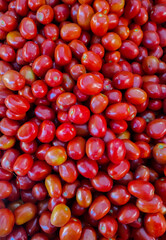Tomatoes in the market. Red tomatoes on a counter in the market