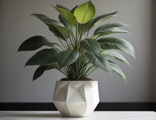 aesthetic plants for living room and office