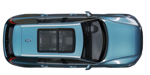 Top view of product(Humanized plants)