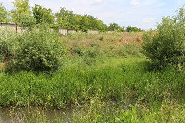 A grassy area with trees and a fence in the background