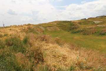 Fototapeta premium A grassy area with a hill in the background