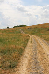 Fototapeta na wymiar A dirt road in a field
