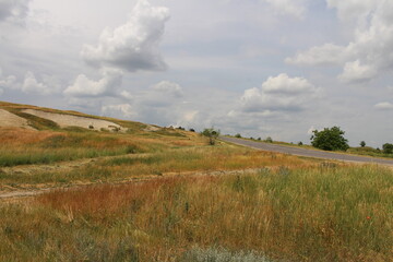 A grassy field with a road