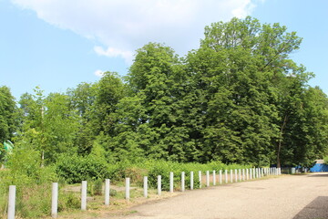A fenced in area with trees in the background