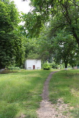 A path with grass and trees