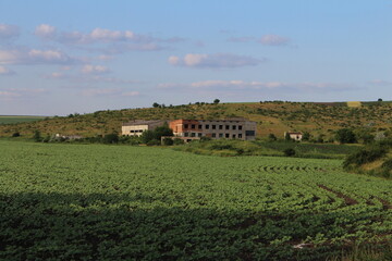 A house on a hill