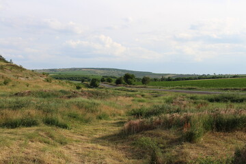 A landscape with grass and trees