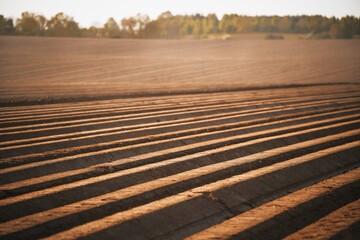 An unplanted field in the morning. Farmland in the country. Soil close-up.