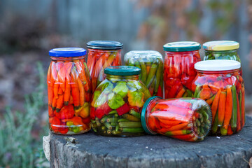 Eight cans of red and green chili peppers in apple cider vinegar on an oak stump in the garden