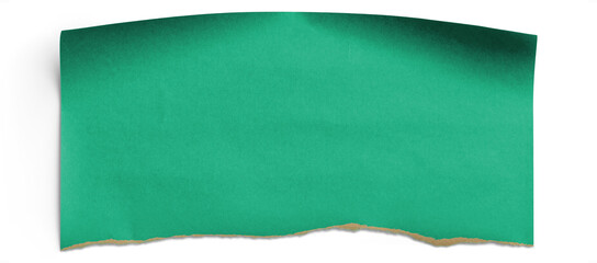 Green Torn Wrapping Paper Piece