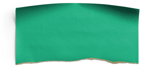 Green Torn Wrapping Paper Piece