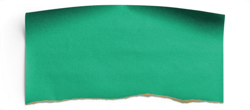 Green Torn Wrapping Paper Piece