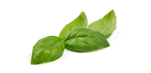 Basil leaves, close-up, isolated on white background.