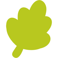 green leaf isolated