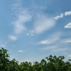 A blue sky with clouds