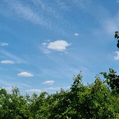 A blue sky with clouds