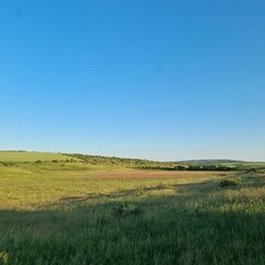 Fototapeta na wymiar A grassy field with blue sky and clouds