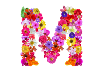 M shape made of various kinds of flowers petals isolated on transparent background, PNG