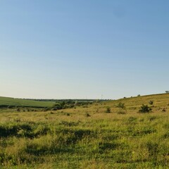Fototapeta na wymiar A grassy field with a blue sky