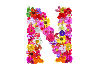 N shape made of various kinds of flowers petals isolated on transparent background, PNG