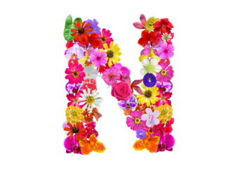 N shape made of various kinds of flowers petals isolated on transparent background, PNG
