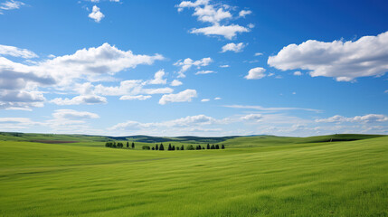 Fototapeta premium Landscape view of green grass on a hillside with blue sky and clouds in the background. Beautiful natural landscape of countryside hills created with generative AI technology.