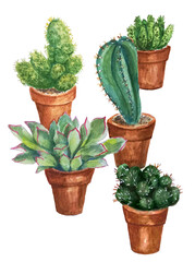 Green cactuses and succulents in flower pots. Watercolor illustration, houseplants.