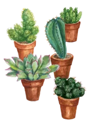 Zelfklevend Fotobehang Cactus in pot Green cactuses and succulents in flower pots. Watercolor illustration, houseplants.
