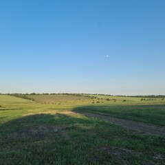 Obraz premium A field with grass and blue sky