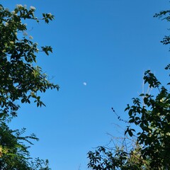 A blue sky with clouds