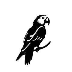 parrot silhouette illustration 