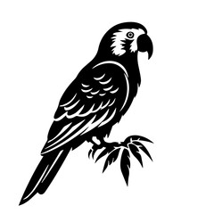 parrot silhouette illustration 